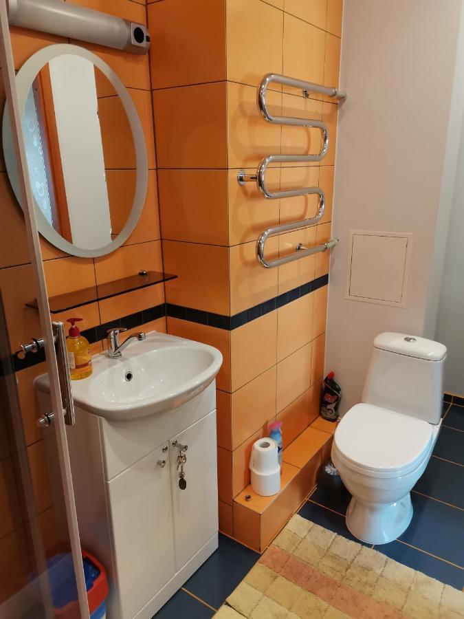 Sunny Apartment Kėdainiai מראה חיצוני תמונה